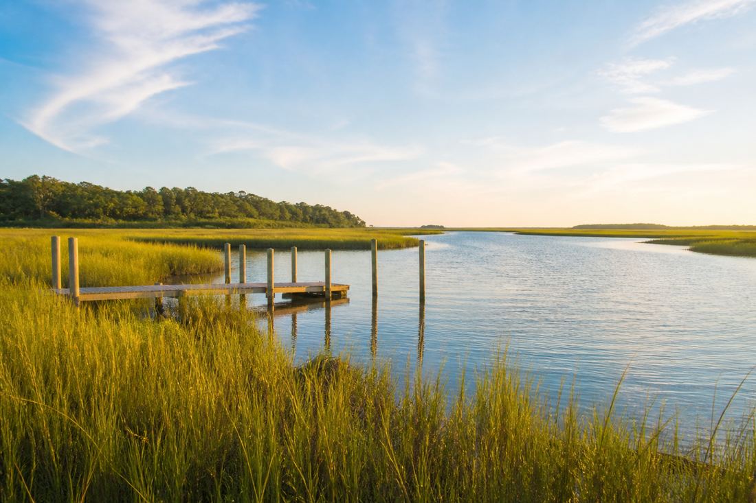 Golden marsh grass meeting a calm tidal creek near Little River, South Carolina